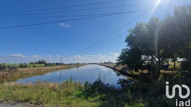 Maison de campagne à Bouin (85230)