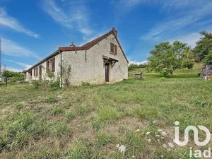 House at Vaumas (03220)