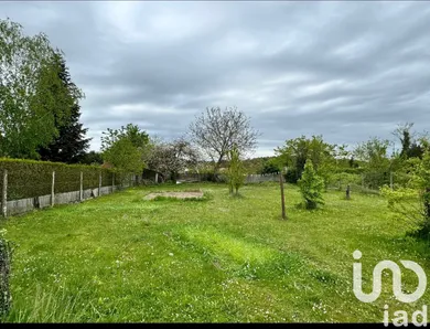 Terrain à Montigny-sur-Loing (77690)