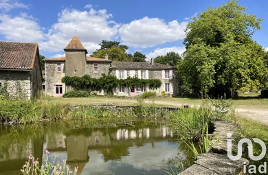 Castle at Vasles (79340)