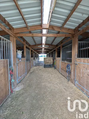 Domain at Montreuil-sur-Barse (10270)