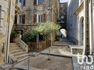 Appartement à CERVIONE (20221)