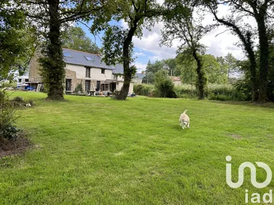 Maison à Mauron (56430)