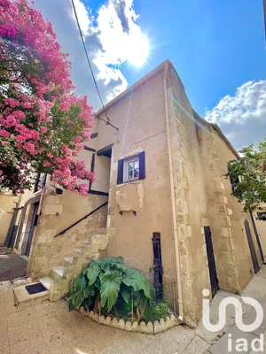Townhouse at Le Blanc (36300)