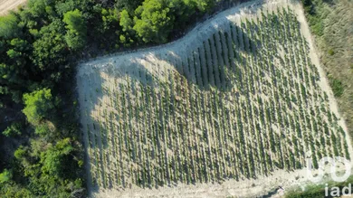 Terrain agricole à PAILHES (34490)