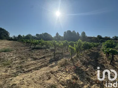 Terrain agricole à PAILHES (34490)