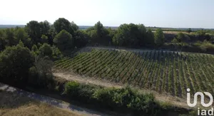 Terrain agricole  à PAILHES (34490)