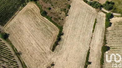 Terrain agricole  à MURVIEL LES BEZIERS (34490)