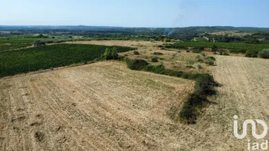 Terrain agricole à MURVIEL LES BEZIERS (34490)