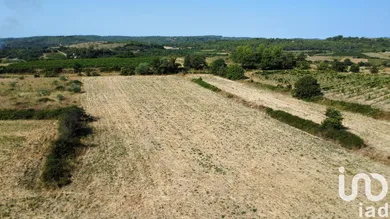 Terrain agricole à MURVIEL LES BEZIERS (34490)