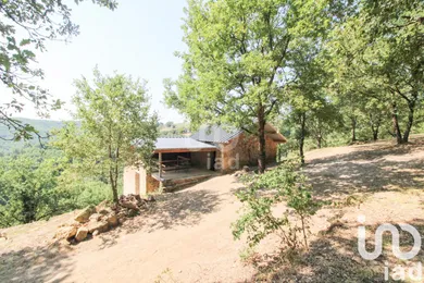 House at Broquiès (12480)