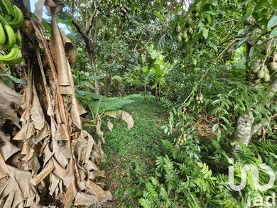 Building plot in Le Lamentin (97232)