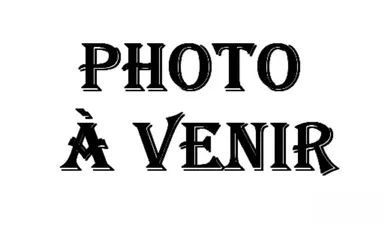 Land at Sarry (51520)