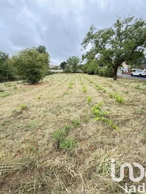 Land in Cenon-sur-Vienne (86530)