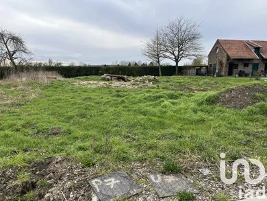 Land in Festubert (62149)