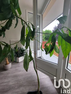 Appartement à Harfleur (76700)