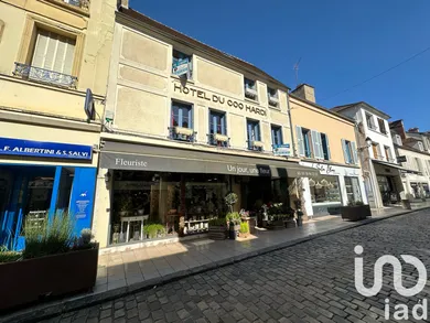 Duplex at Rambouillet (78120)