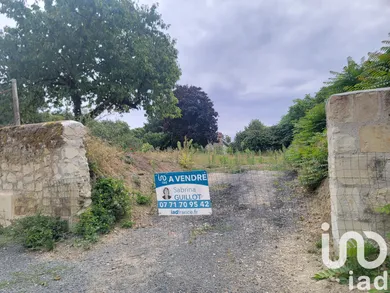 Terrain à Brézé (49260)