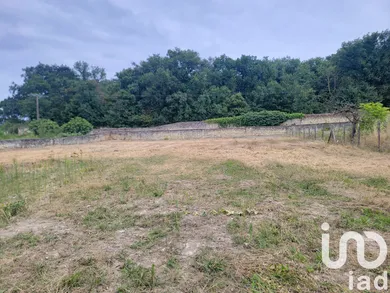 Terrain à Brézé (49260)