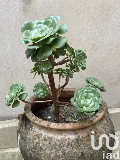 Building plot at Saint-Sigismond (74300)