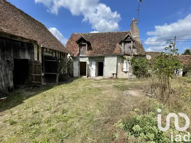Maison de campagne à La Ferté-Saint-Cyr (41220)
