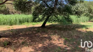 Land at Fréjus (83600)