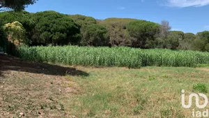 Land at Fréjus (83600)