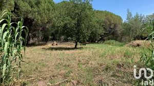 Land in Fréjus (83600)