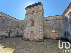 Domain at Saint-Michel-en-l'Herm (85580)
