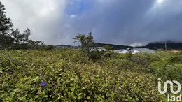 Building plot in La Plaine des Palmistes (97431)