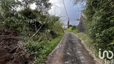 Building plot in La Plaine des Palmistes (97431)