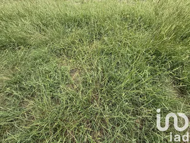 Building plot at Sanguinet (40460)