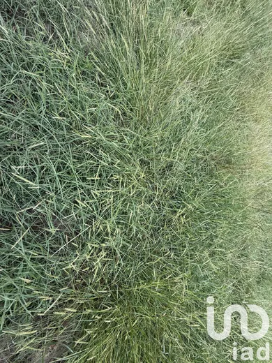 Terrain à Sanguinet (40460)