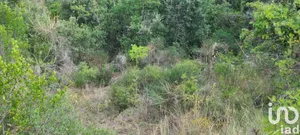 Farm land in GABIAN (34320)