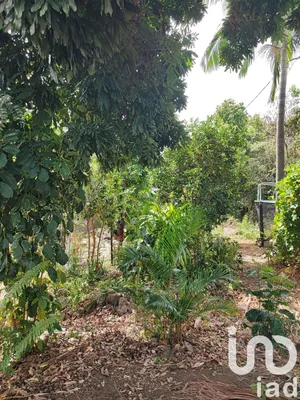 Land at Bois de nèfles saint Paul  (97411)