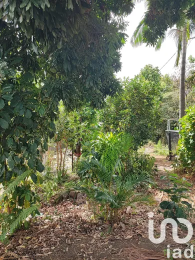 Terrain à Bois de nèfles saint Paul (97411)