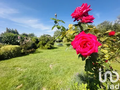 Maison à Sancy-lès-Provins (77320)