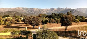 Maison à Speloncato (20226)