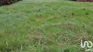 Maison à Plouénan (29420)