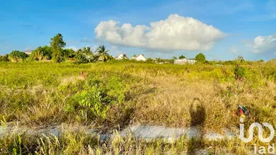 Land in ANSE-BERTRAND (97121)