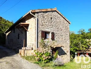 Traditional house in Saint-Basile (07270)
