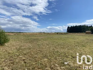 Terrain à bâtir à Saint-Bohaire (41330)