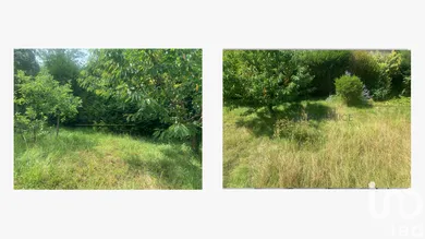 Maison à Saint-Germain-en-Laye (78100)