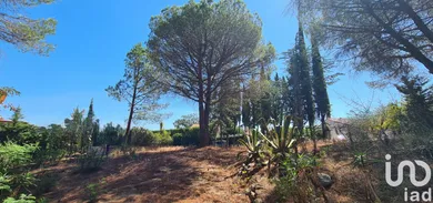 Terrain à Montesquieu-des-Albères (66740)