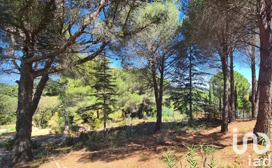 Terrain à Montesquieu-des-Albères (66740)