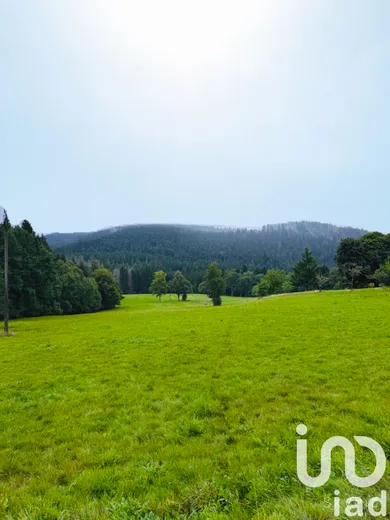 Terrain à bâtir à Liézey (88400)