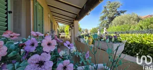 Maison à BORGO (20290)