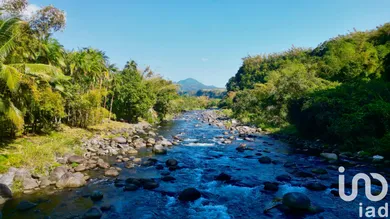 Maison à SAINT BENOIT (97470)