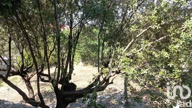 Terrain à bâtir à Montpellier (34090)