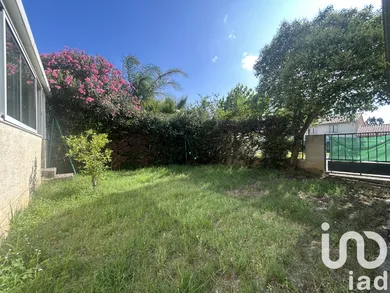 Traditional house at Montescot (66200)